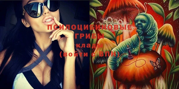 молекула духа Белоозёрский