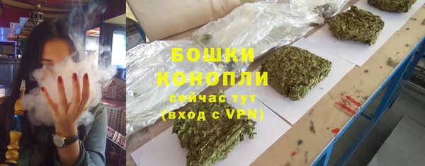 молекула духа Белоозёрский