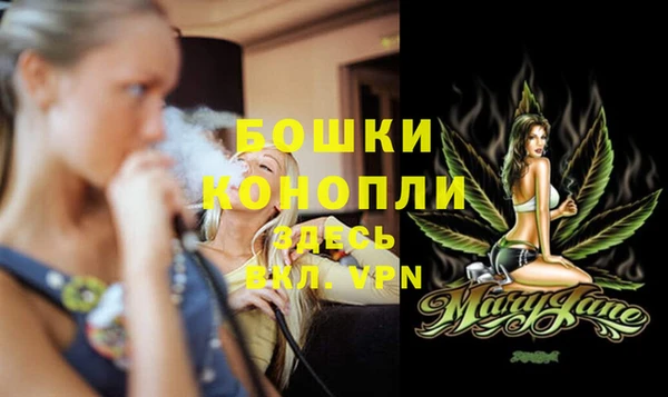 молекула духа Белоозёрский